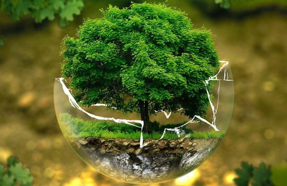 1re semaine du développement durable à "IMT Mines Albi"